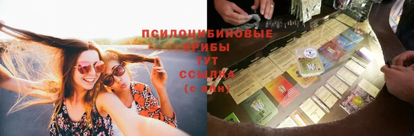 стафф Армянск