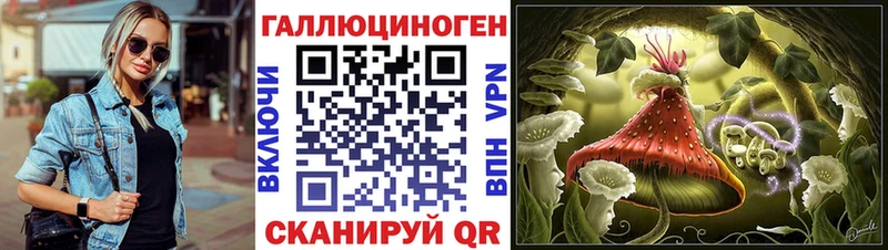 магазин продажи наркотиков Яблоновский Псилоцибиновые грибы Psilocybine cubensis